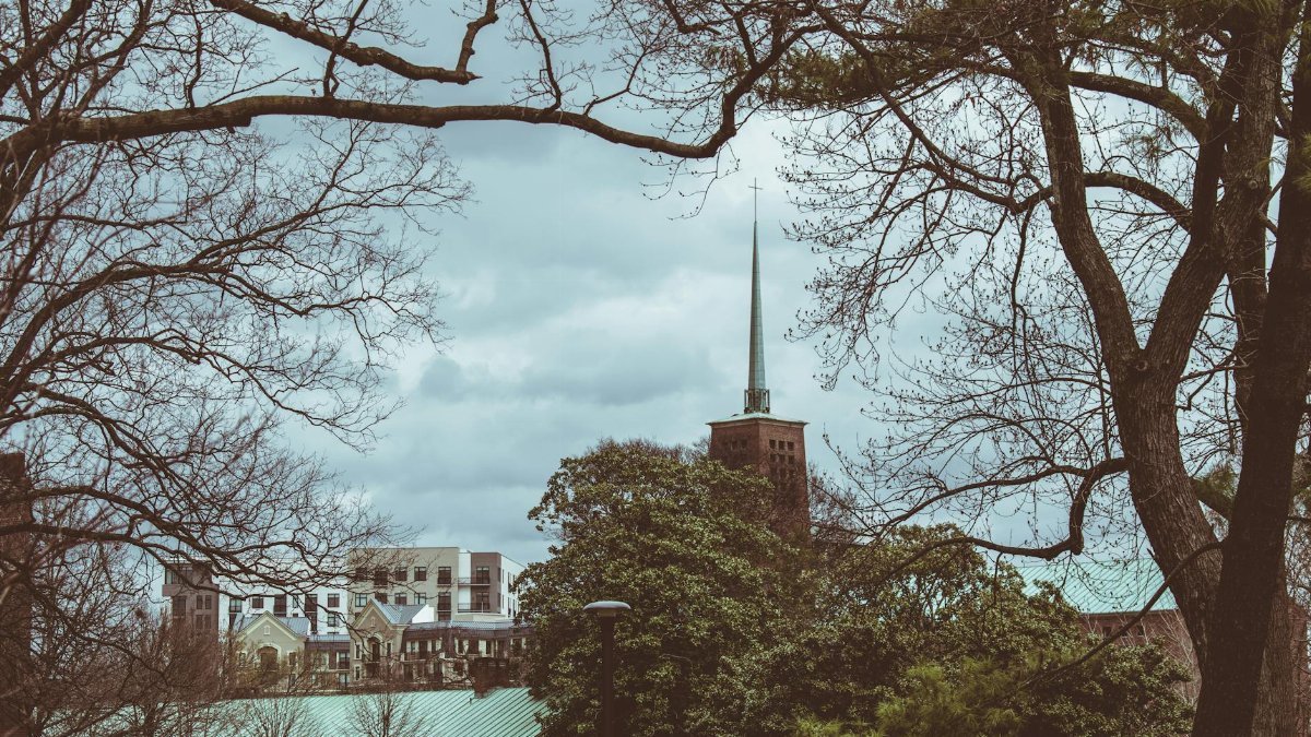 Discover the scenic beauty of Nashville's skyline framed by tree branches and cloudy skies.