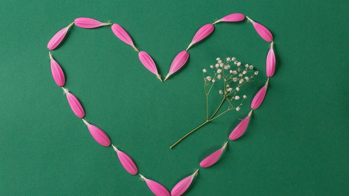 A flat lay of pink flower petals forming a heart shape on a green surface, symbolizing love.