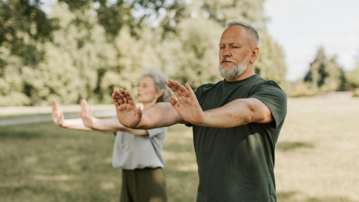 Elderly couple engaged in outdoor Tai Chi, promoting wellness and fitness in a park setting.