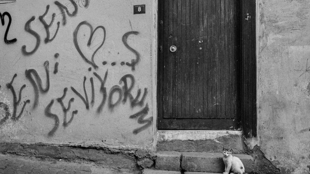 A cat sits on steps beside a graffiti-covered wall with a wooden door, captured in black and white.