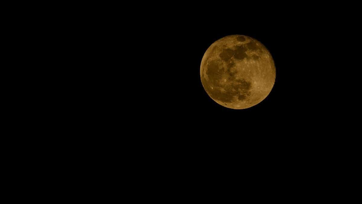 A detailed photo of the full moon against a clear night sky, perfect for astronomy lovers.