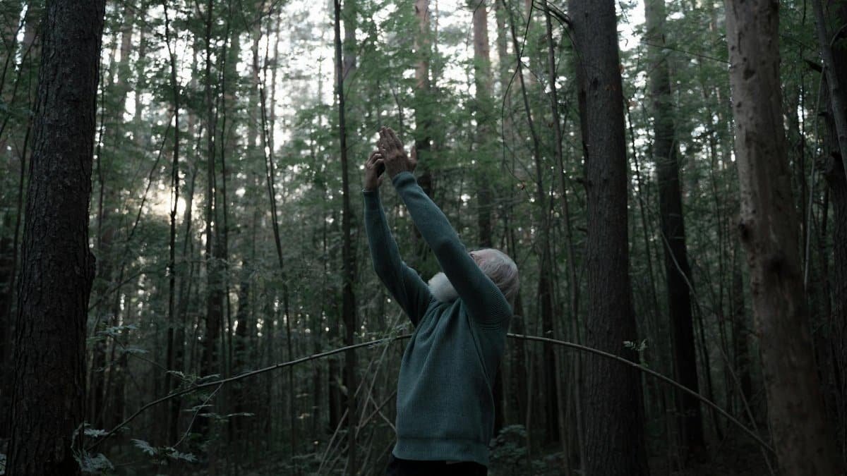 An elderly man stands in a forest, reaching upwards with a smartphone, seeking connectivity.