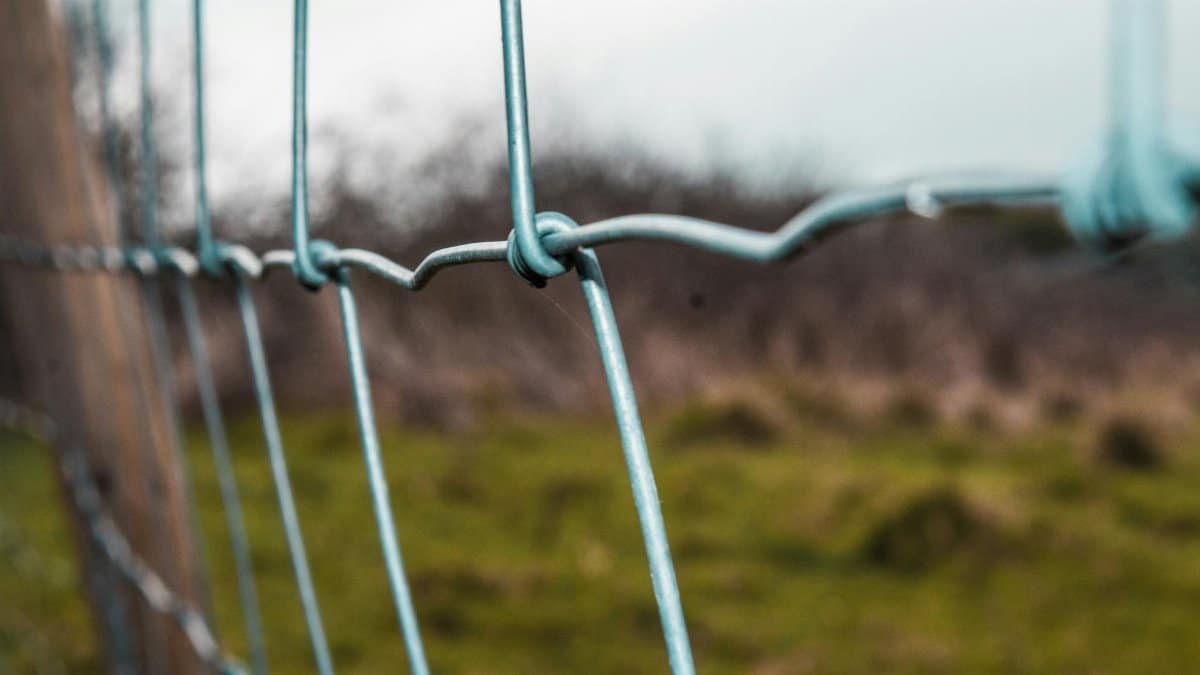 A detailed look at a weathered chain link fence in a grassy outdoor setting, emphasizing security and protection.