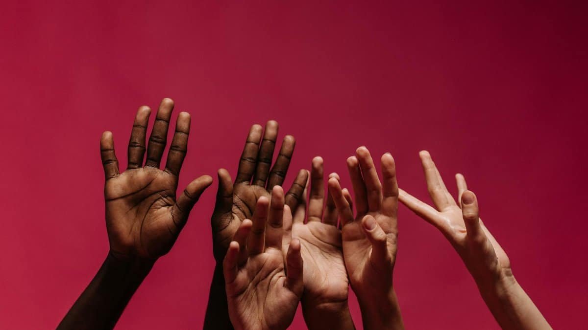 A collection of diverse hands reaching up against a vibrant red background symbolizing unity and support.