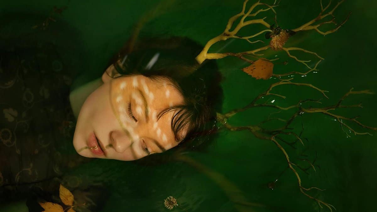 Artistic depiction of a person with twigs and antlers submerged in water, eyes closed.