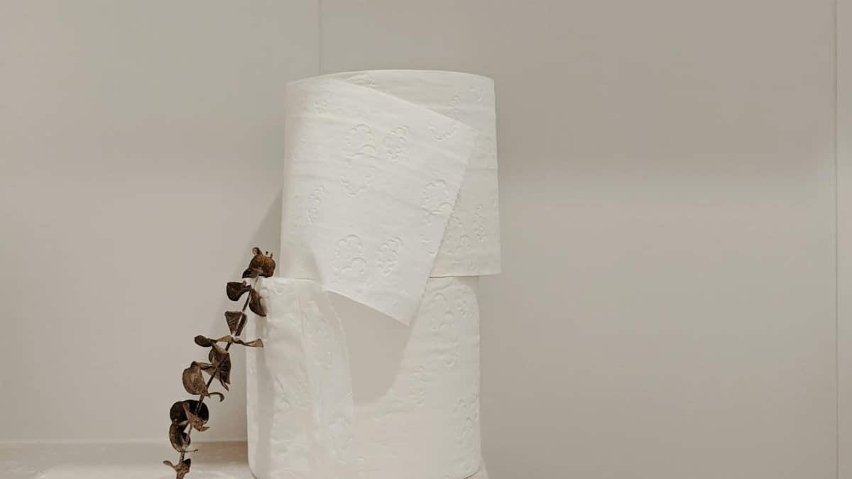 Clean, minimalist display of toilet paper rolls with eucalyptus in a bathroom setting.