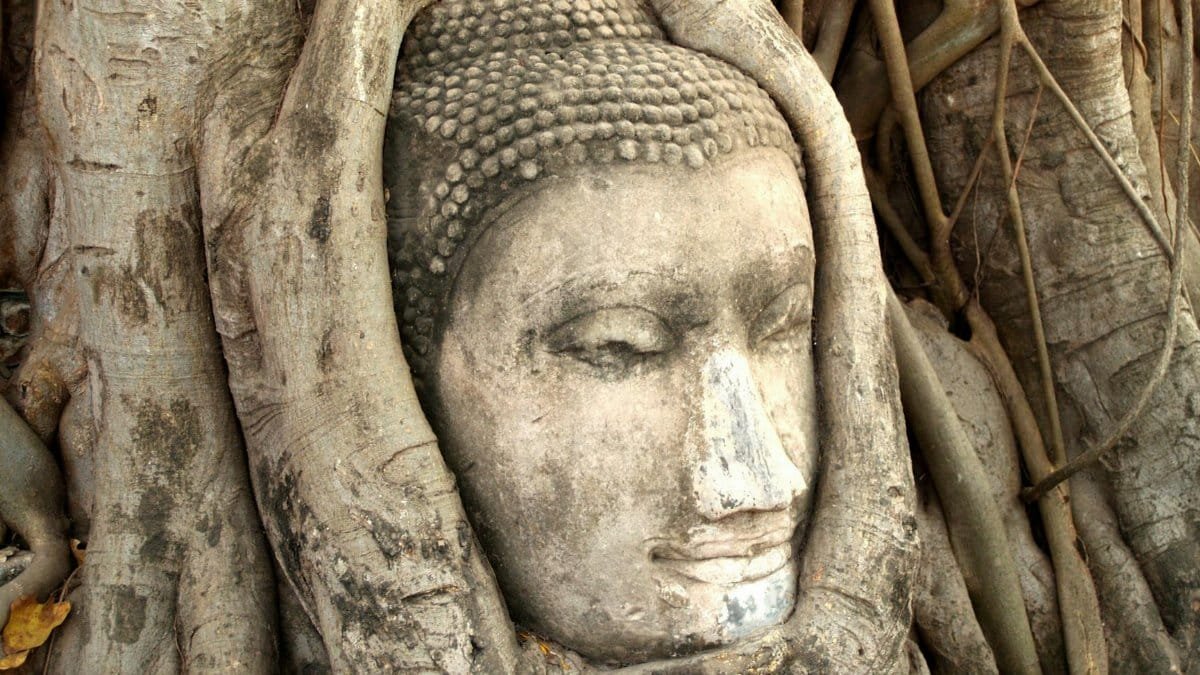 Buddha head wrapped in tree roots, symbolizing peace and cultural heritage at Wat Mahathat, Ayutthaya, Thailand.