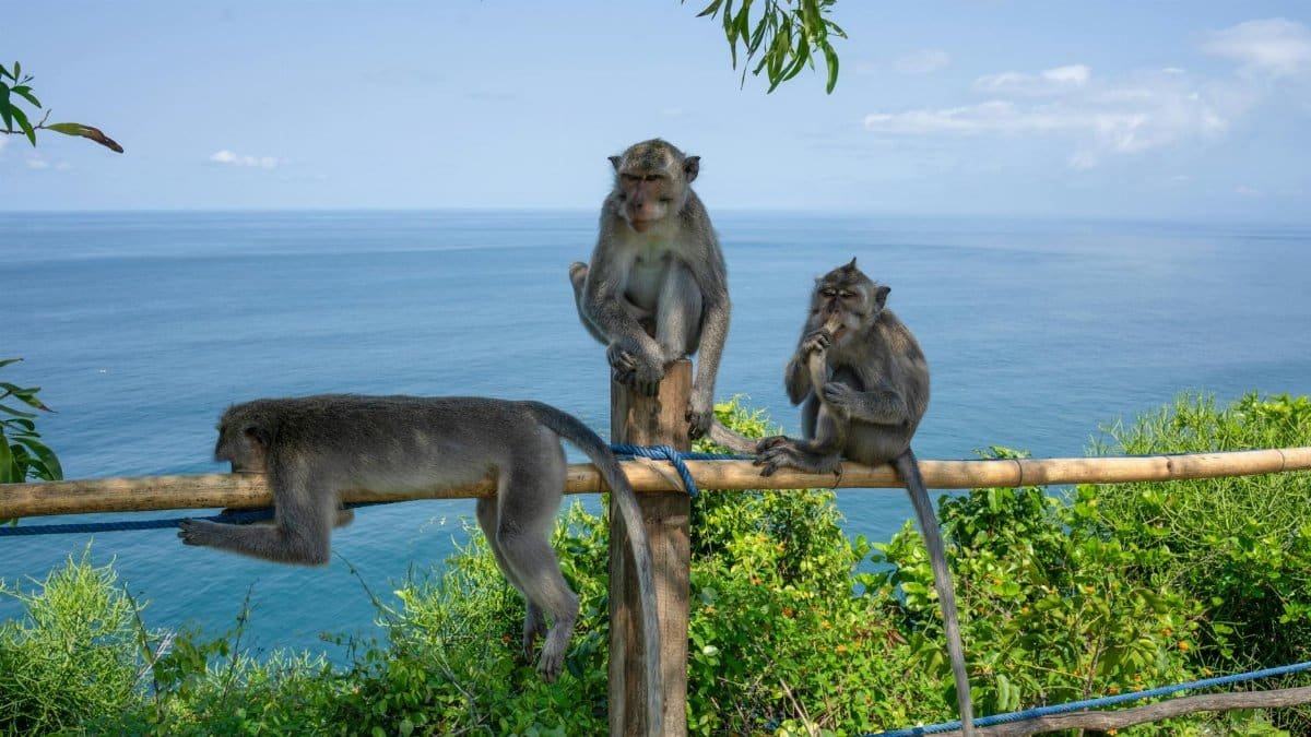 Long-Term Benefits: A Calmer Horizon