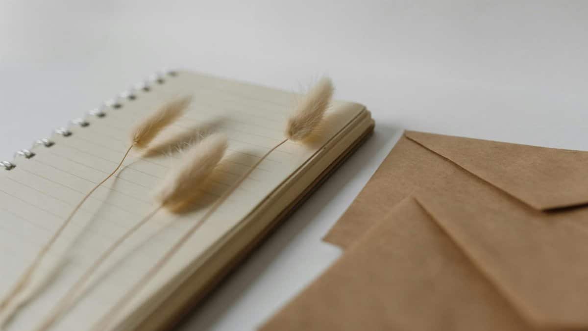 Aesthetic arrangement of a notepad with bunny tail grass and brown envelopes on a white background.