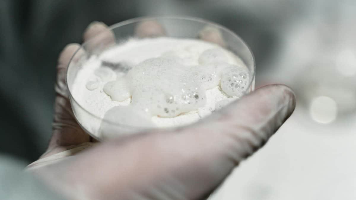 Close-up of a gloved hand in a lab holding a petri dish with a foamy substance, possibly for scientific analysis.