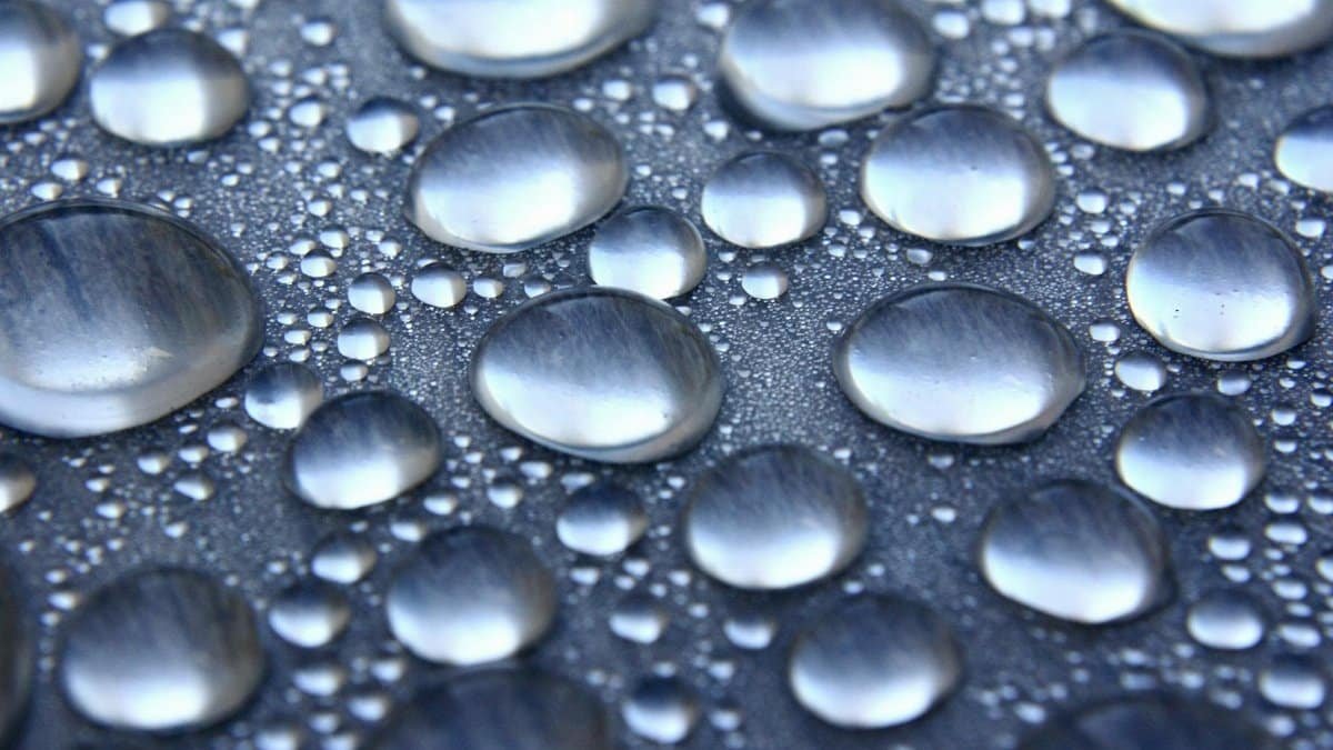 Sharp and detailed image of water droplets on a smooth surface, showcasing surface tension.