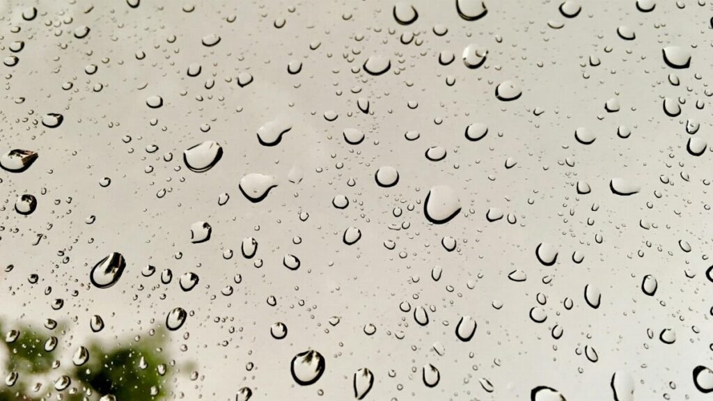 Close-up of raindrops on glass with a blurred tree in the background, creating a serene natural pattern.
