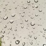 Close-up of raindrops on glass with a blurred tree in the background, creating a serene natural pattern.