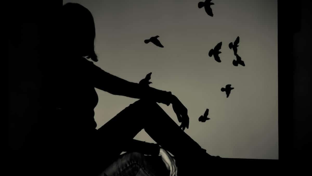 Artistic silhouette of a woman sitting by a window with birds in flight, creating a moody and dramatic scene.