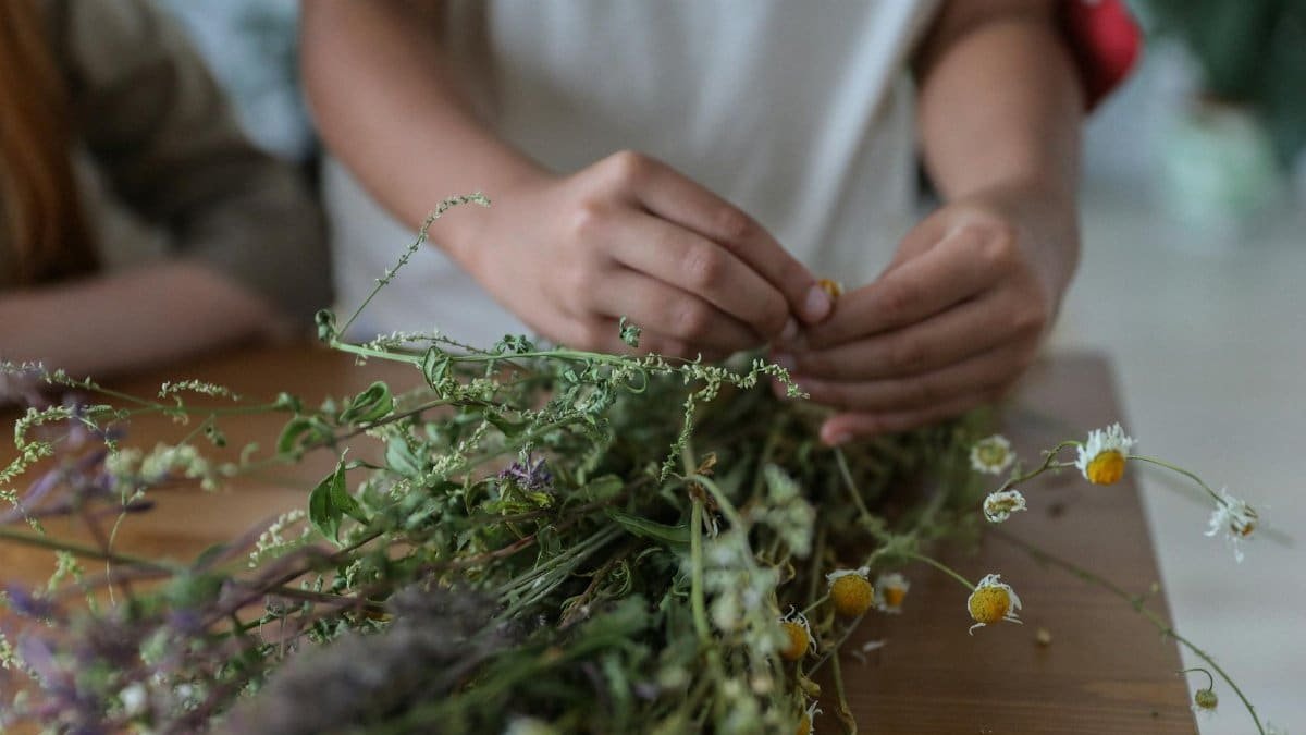 Person arranging a bunch of wild chamomile flowers on a wooden table indoors.