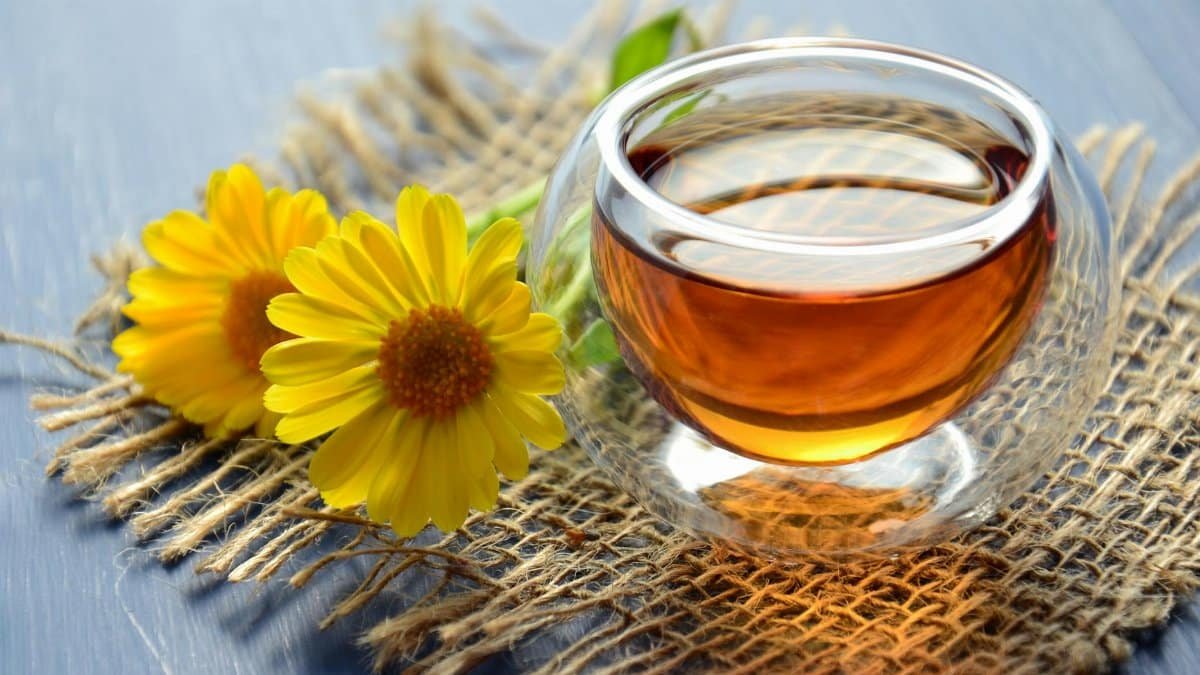 Glass cup of herbal tea with yellow flowers on a textured background.