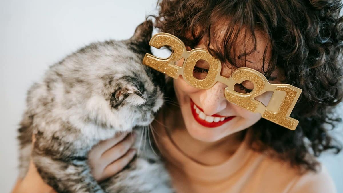 Crop candid female in decorative glasses with numbers embracing fluffy cat with closed eyes during festive event on white background