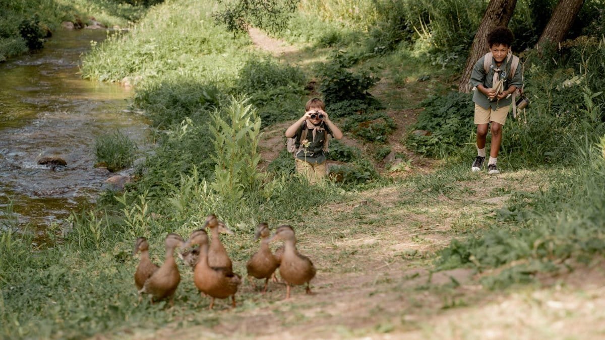 Two boys exploring wildlife and observing ducks in a tranquil forest setting during daytime.
