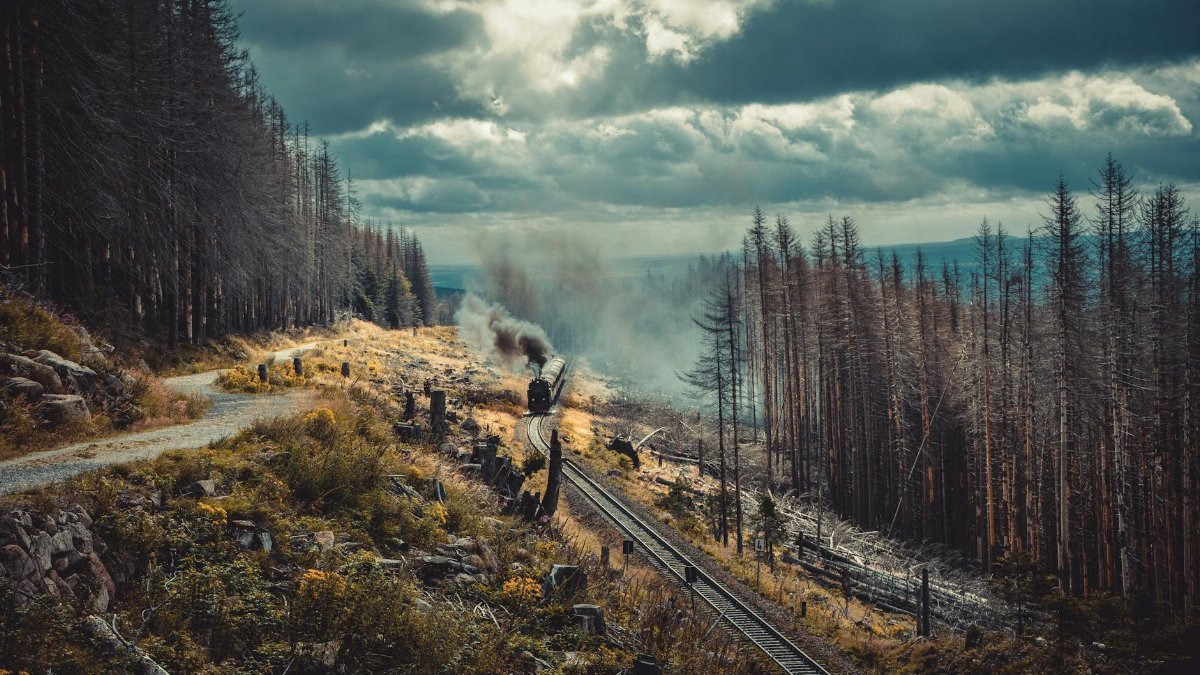 Steam train travels through misty Harz forest, offering a scenic journey amidst dark clouds.