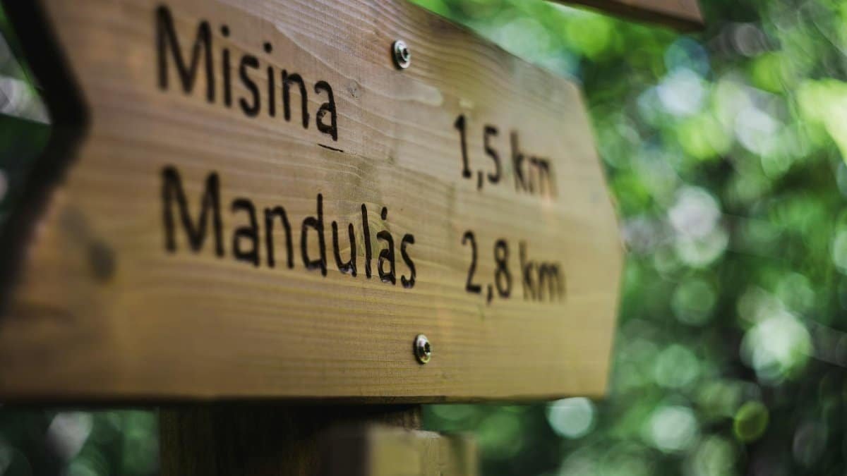 Close-up of a wooden hiking sign with bokeh effect in the forest.
