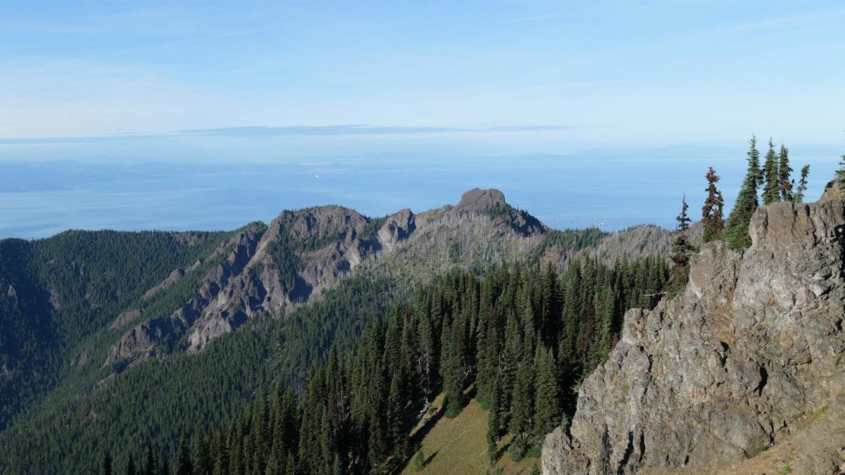 Majestic mountain landscape in Olympic National Park with evergreen trees and clear blue sky.