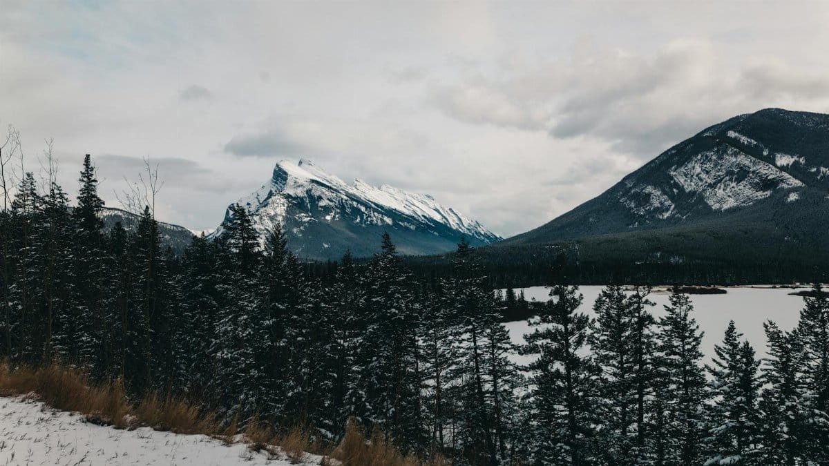 Snowy landscape of Banff National Park with pine trees and mountains.