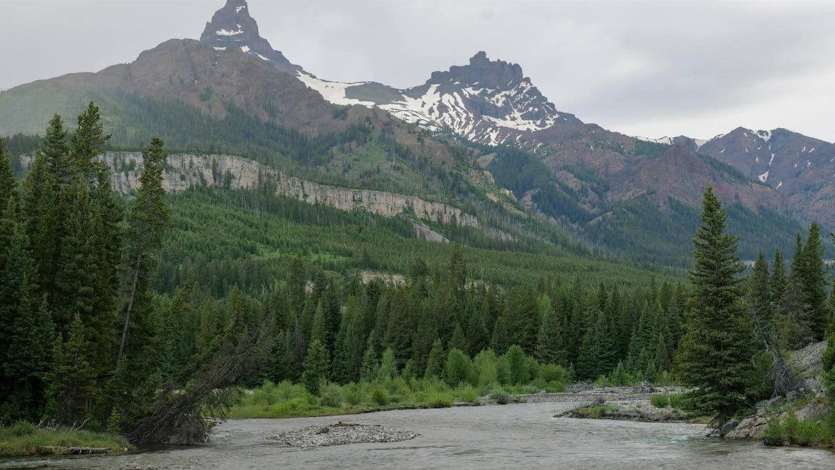 Stunning view of mountains and forests in Yellowstone National Park, Wyoming, USA.