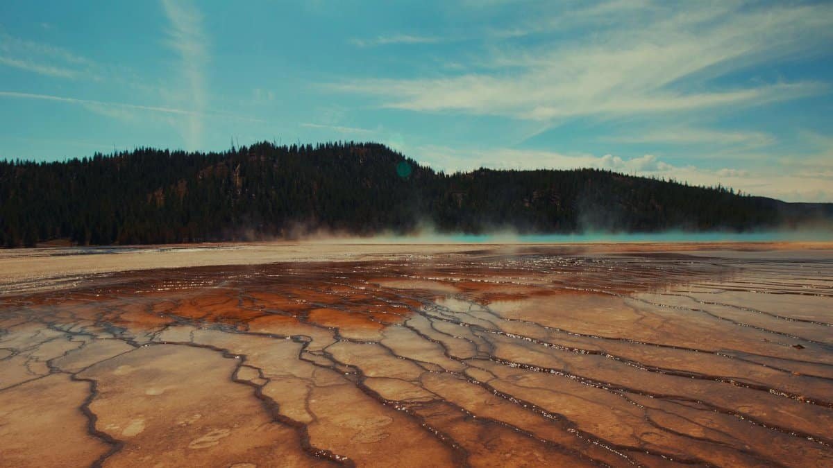 Vibrant geothermal hot springs near forested hills in Yellowstone National Park.