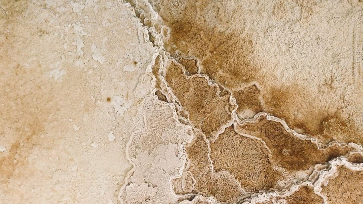 Close-up of unique thermal mineral formations in Yellowstone National Park, highlighting natural textures and patterns.