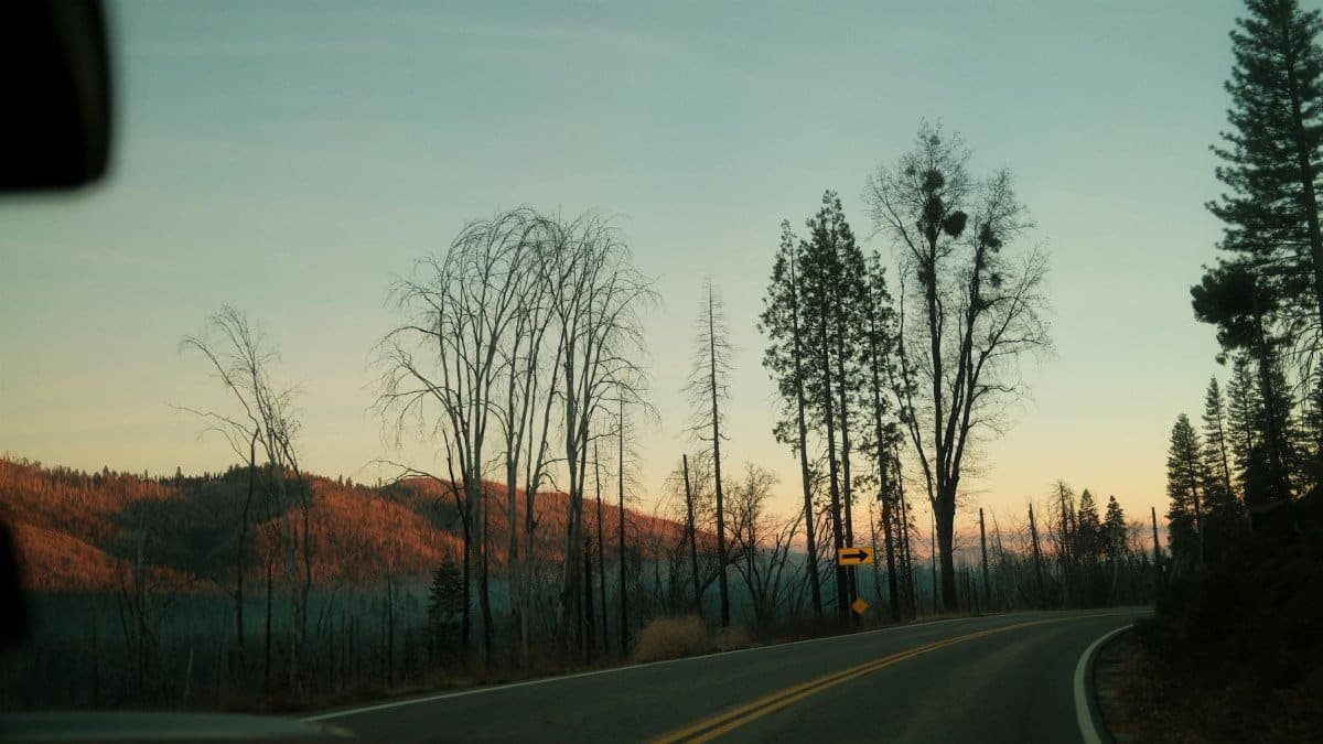 Free stock photo of a sunset in the field, alpine trees, autumn drive