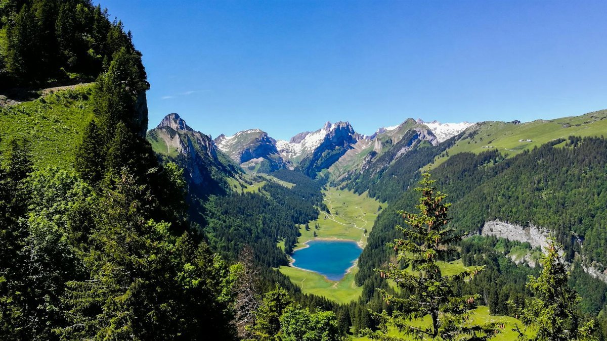 Breathtaking view of alpine mountains, lush green forests, and a serene blue lake under clear skies.