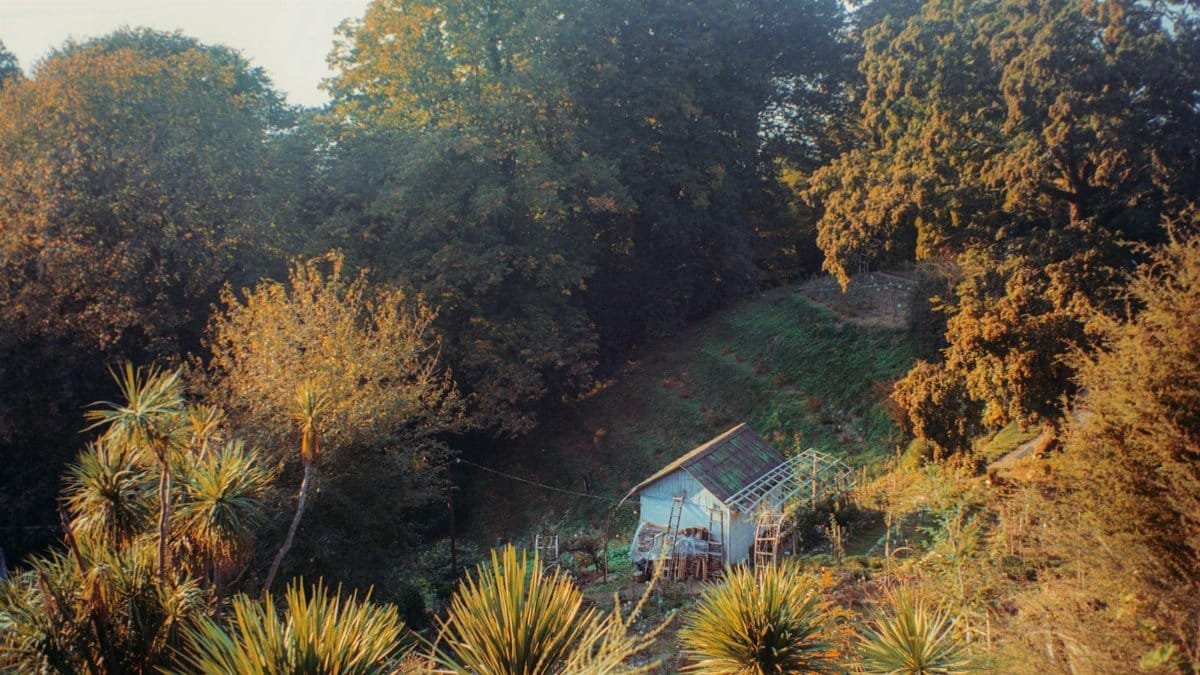Idyllic cabin nestled among dense trees on a tranquil hillside at dawn.