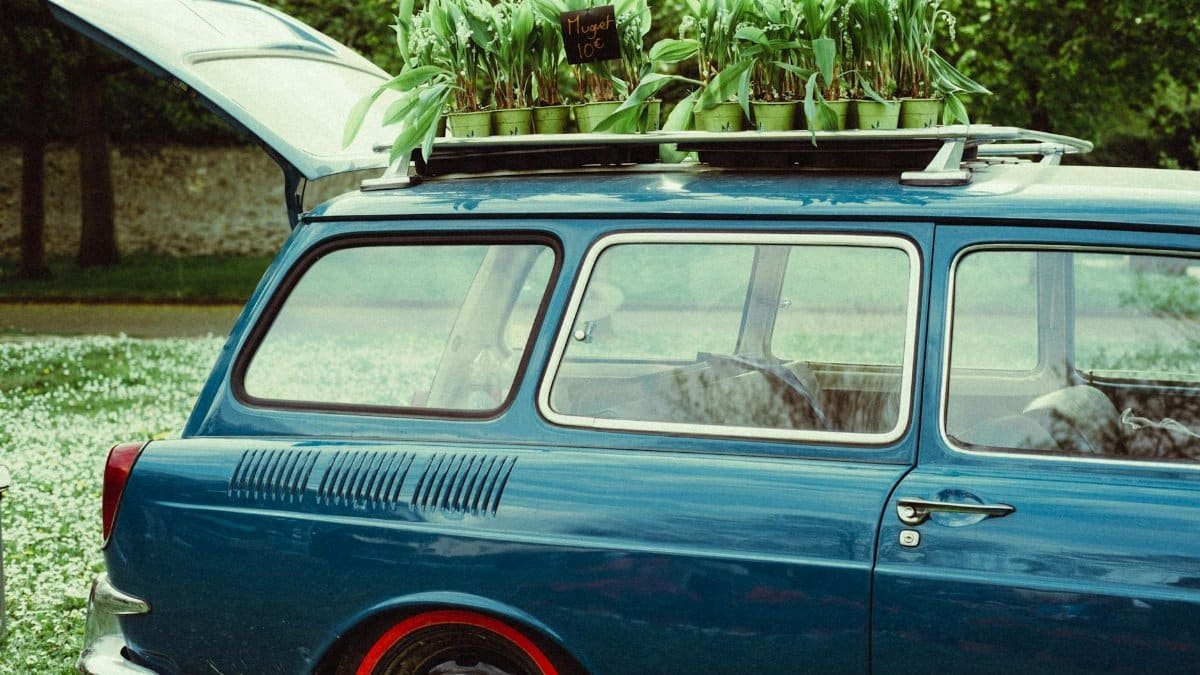 Charming vintage car carrying potted plants on the roof, outdoors in a lush setting.