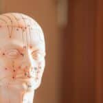 Close-up of a model head showing acupuncture points with numbers and lines.