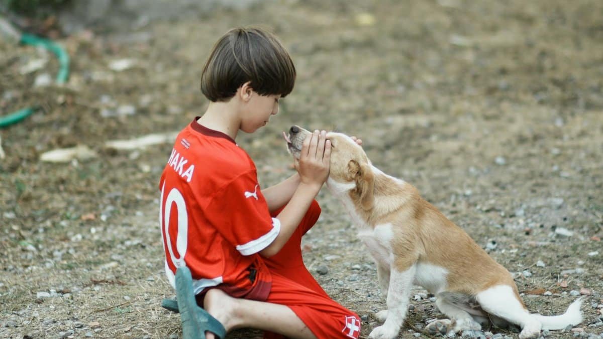 A boy wearing a red jersey playing affectionately with a small dog outside.