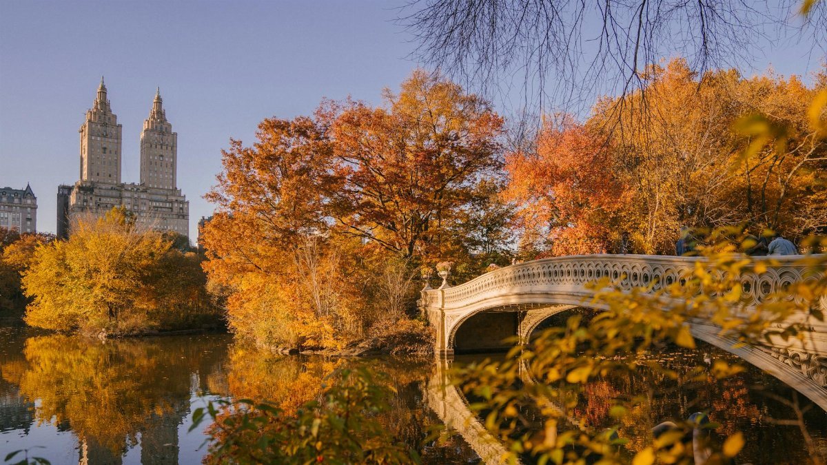 Scenic autumn view of Bow Bridge and reflections in Central Park, New York City.
