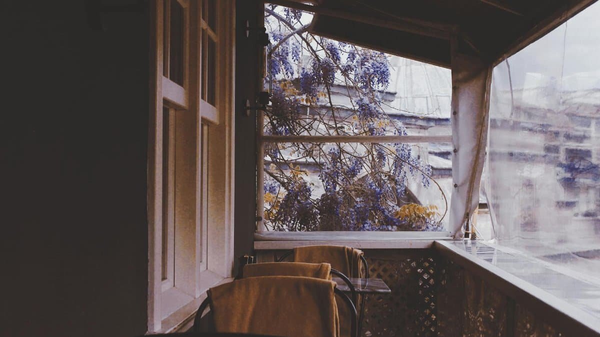 A quiet terrace featuring a peaceful ambiance with blooming wisteria, capturing the essence of tranquility at dusk.