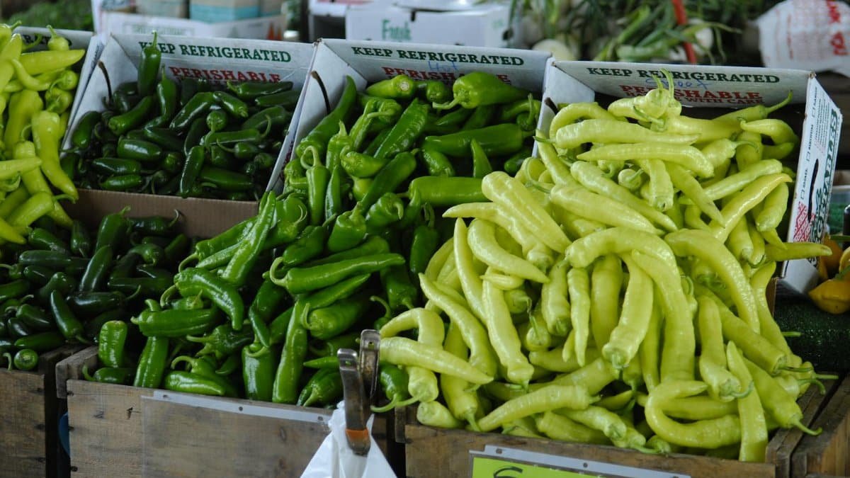 Vibrant display of fresh green and yellow peppers at a local market in North Carolina.