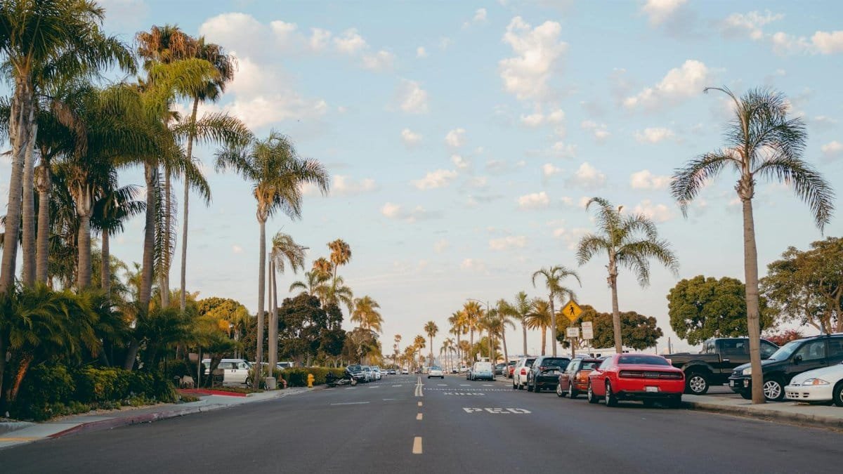 Scenic view of a palm-lined street in San Diego with parked cars and a clear sky.