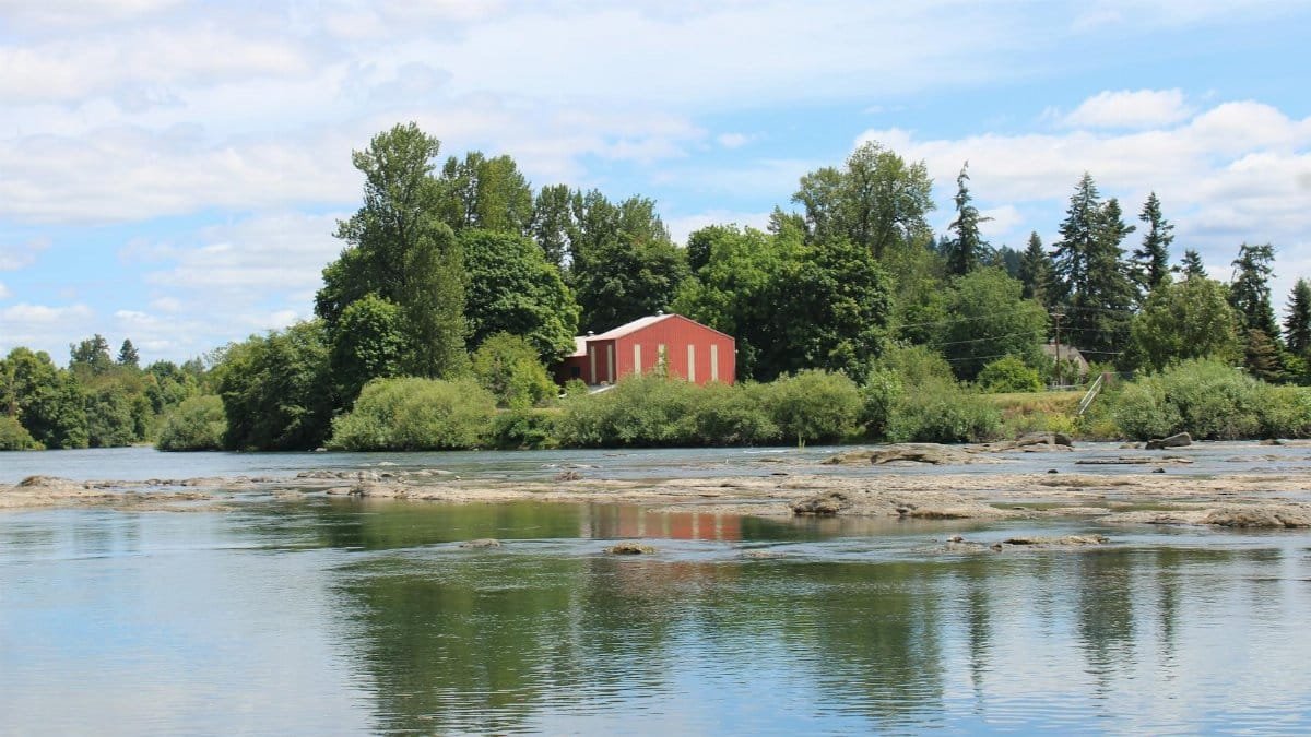 Picture of a classic barn surrounded by lush greenery and a tranquil river in Eugene, Oregon.