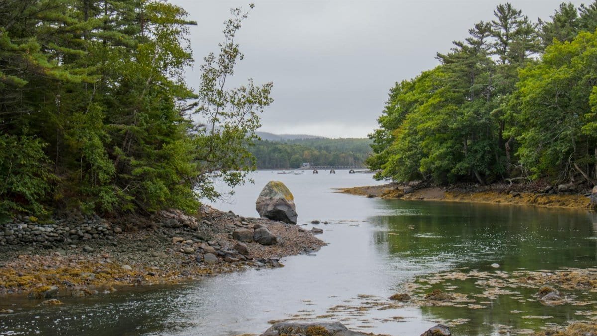 Peaceful rocky river scene surrounded by lush greenery in Acadia National Park, Maine.