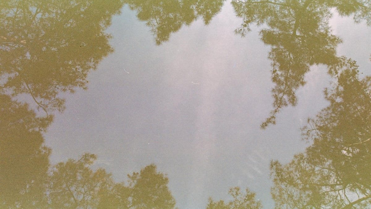 Vintage-style photo showing trees reflected in water under a clear sky.