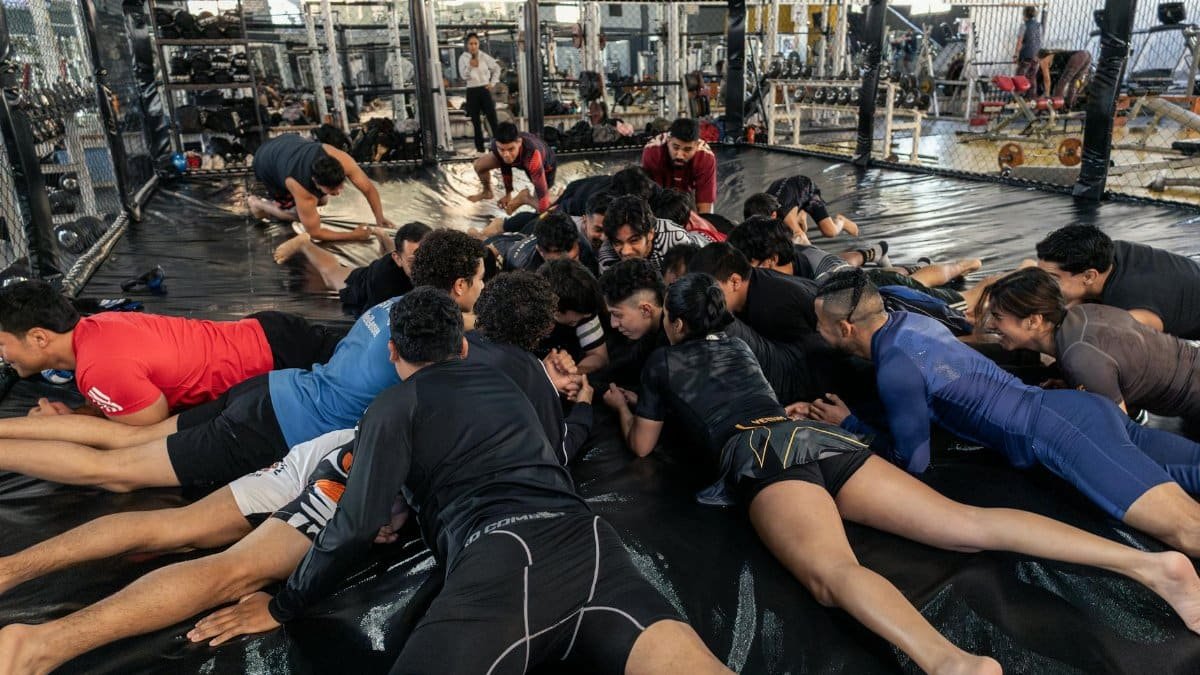 Free stock photo of coachwork, combat, feier