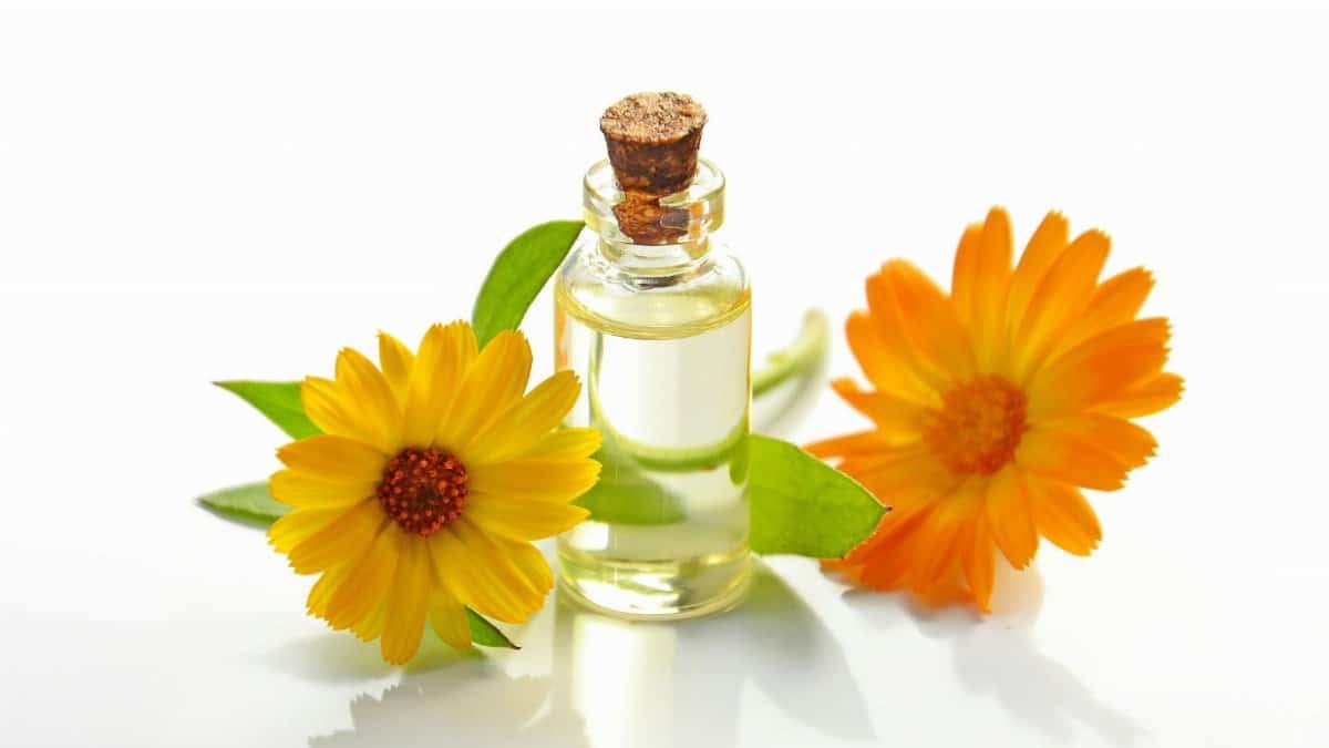 A glass bottle of aromatic oil with chamomile flowers on a white background.
