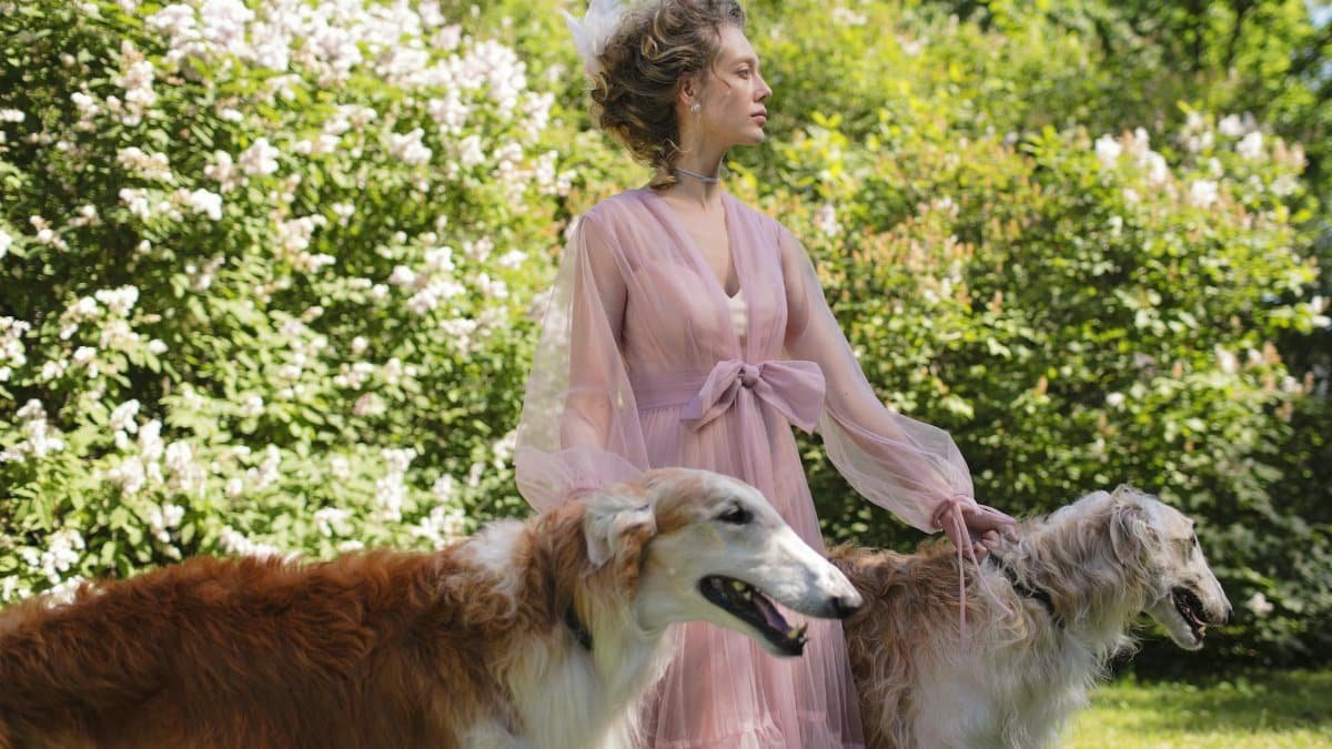 A woman elegantly poses with two Borzoi dogs in a lush garden setting.