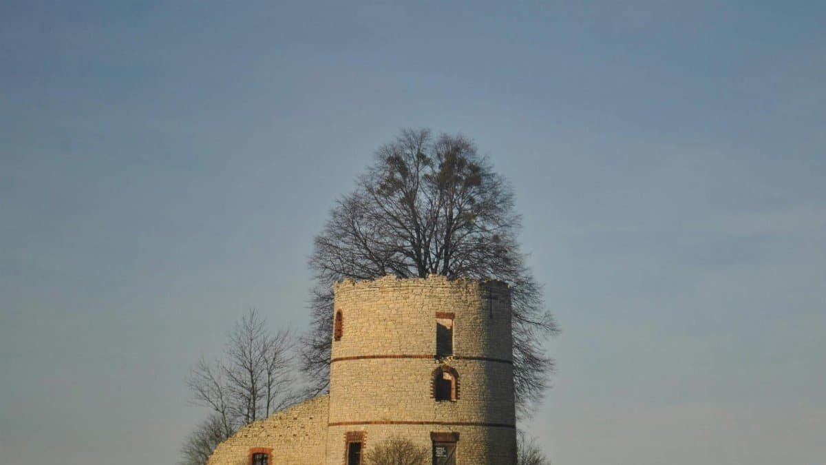 Historic stone tower with tree, captured during a clear day, exuding a sense of mystery and history.