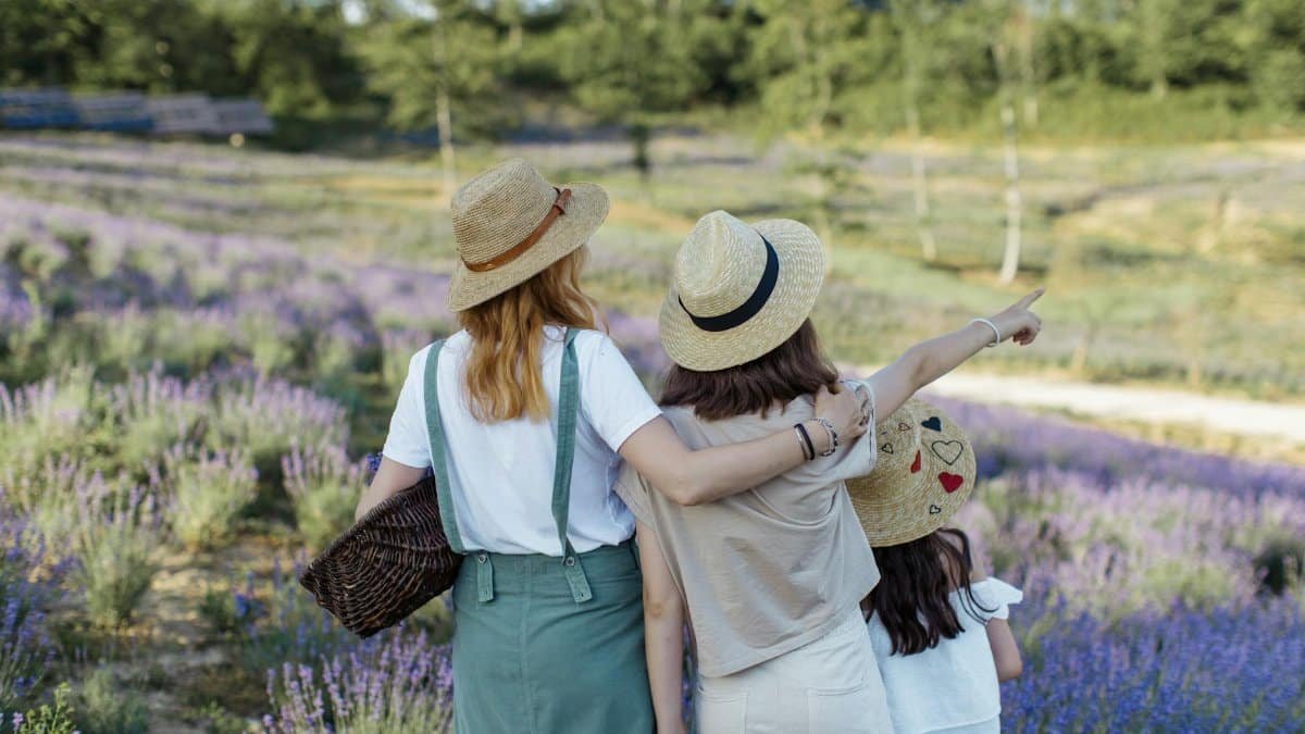 A mother and her two daughters enjoying a sunny day in a lavender field, wearing straw hats.