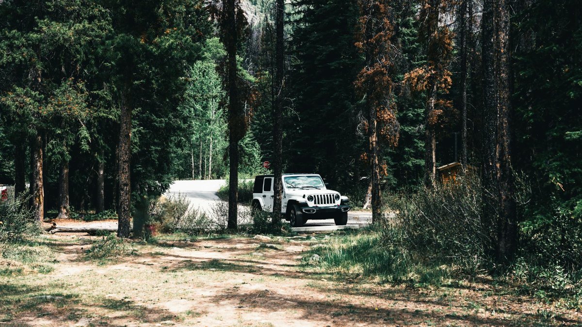 White SUV amidst lush greenery of Banff National Park in late summer.