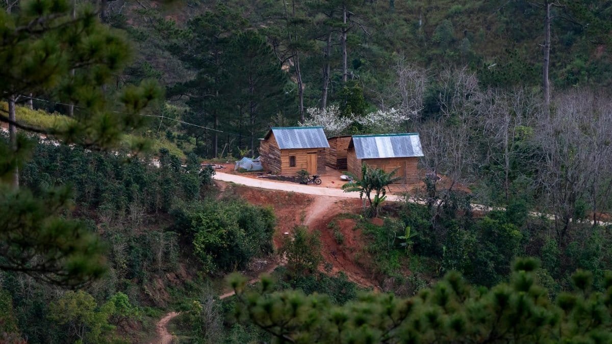 Two wooden cabins on a scenic mountain road surrounded by lush greenery and trees.