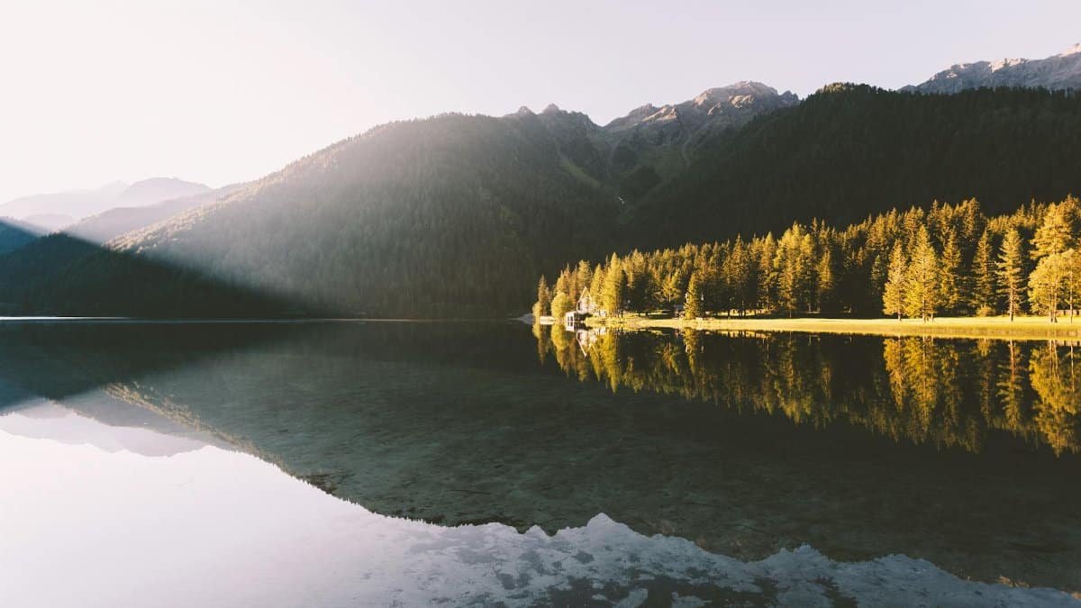 A tranquil view of a mountain and forest reflected in a calm lake at dawn.